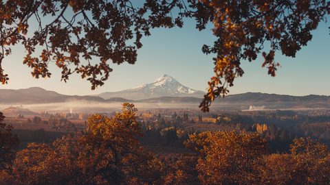 Nature Landscape Forest Mountain