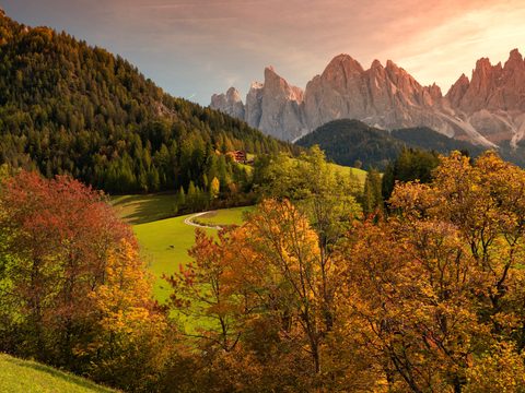 Nature Landscape Forest Mountain