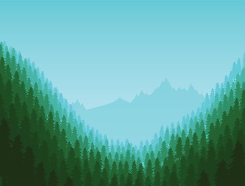 Nature Landscape Forest Mountain