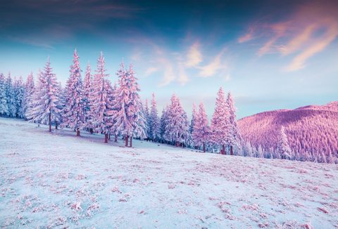 Nature Landscape Forest Mountain
