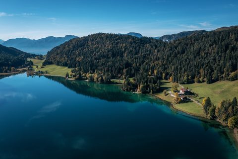 Nature Landscape Forest Mountain