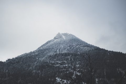 Nature Landscape Forest Mountain
