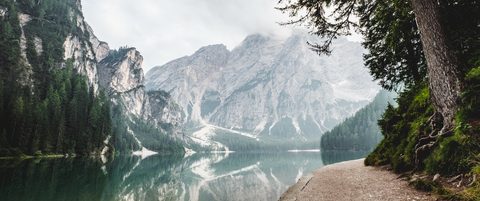 Nature Landscape Forest Mountain
