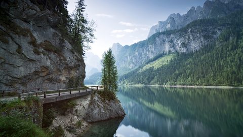 Nature Landscape Forest Mountain