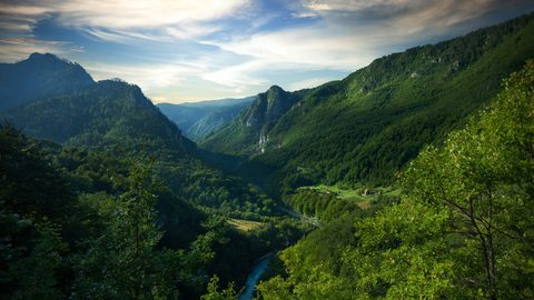 Nature Landscape Forest Mountain