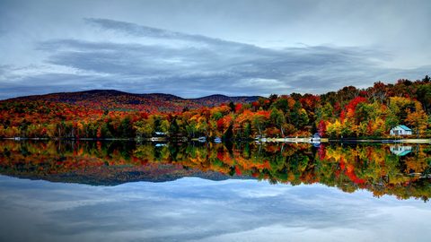 Nature Landscape Forest Mountain