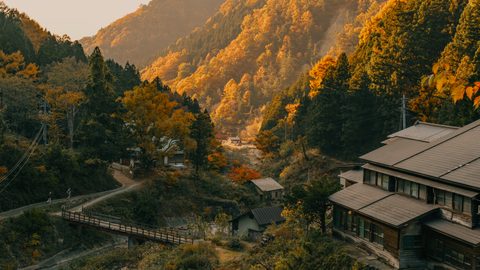Nature Landscape Forest Mountain
