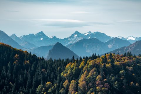 Nature Landscape Forest Mountain