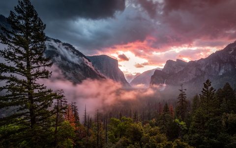 Nature Landscape Forest Mountain