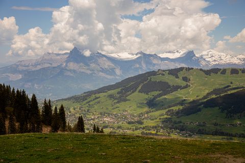 Nature Landscape Forest Mountain