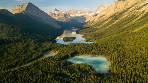 Nature Landscape Forest Mountain