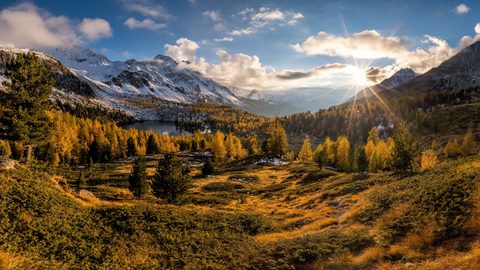 Nature Landscape Forest Mountain