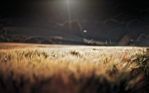 Nature