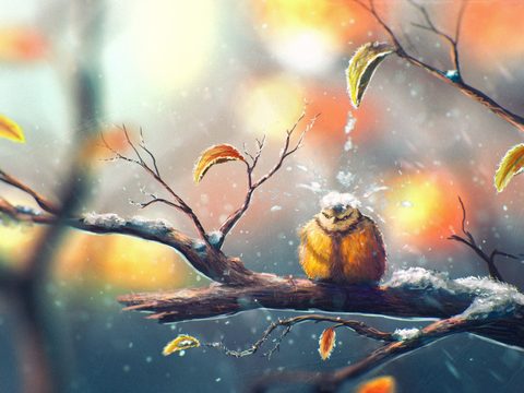 Nature