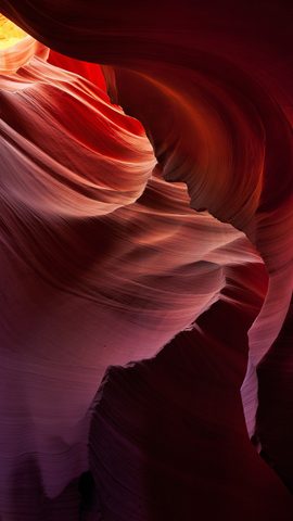 Nature Phone Wallpaper