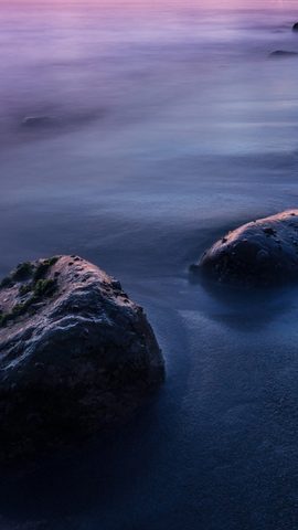 Nature Phone Wallpaper