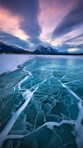 Nature Phone Wallpaper