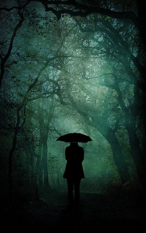Nature Phone Wallpaper