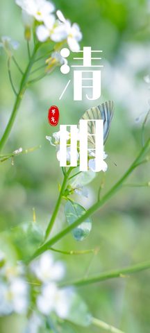 Nature Phone Wallpaper