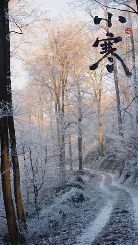 Nature Phone Wallpaper