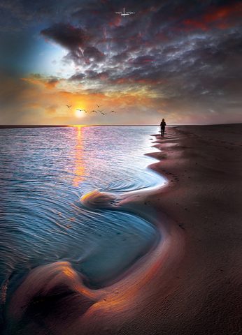 Nature Phone Wallpaper