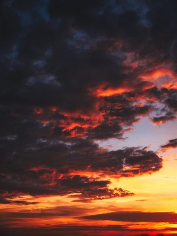 Nature Phone Wallpaper