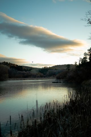 Nature Phone Wallpaper