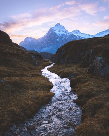 Nature Phone Wallpaper