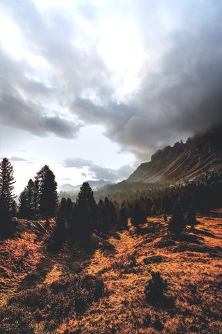 Nature Phone Wallpaper