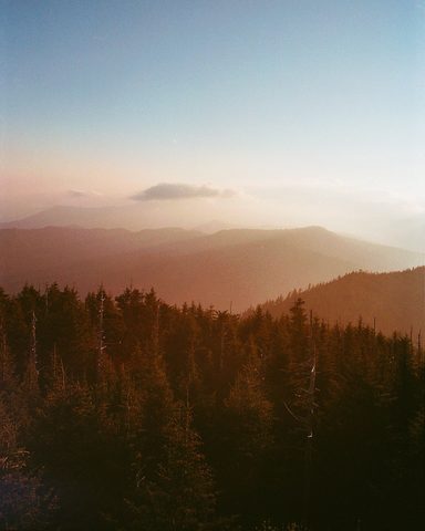 Nature Phone Wallpaper