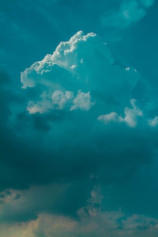 Nature Phone Wallpaper