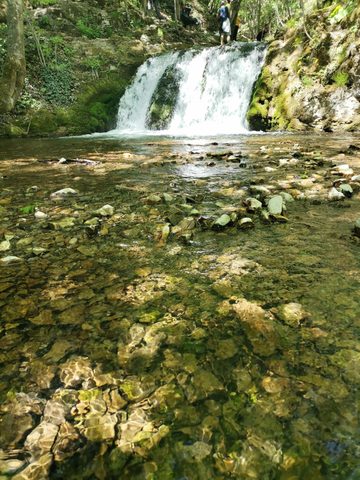 Nature Phone Wallpaper