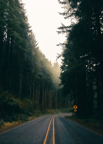 Nature Phone Wallpaper