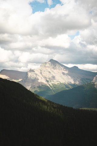 Nature Phone Wallpaper