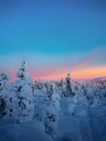 Nature Phone Wallpaper