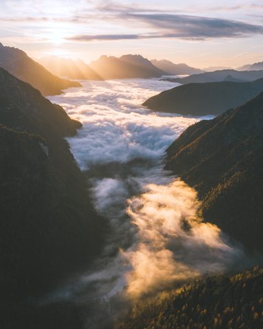 Nature Phone Wallpaper