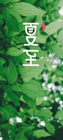Nature Phone Wallpaper