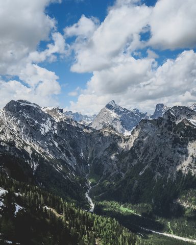 Nature Phone Wallpaper