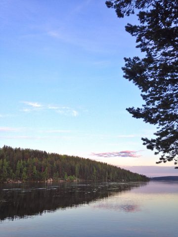 Nature Phone Wallpaper