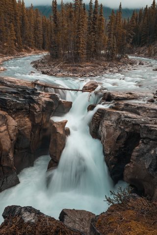 Nature Phone Wallpaper