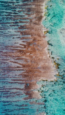 Nature Phone Wallpaper