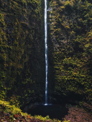 Nature Phone Wallpaper