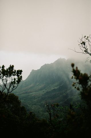 Nature Phone Wallpaper