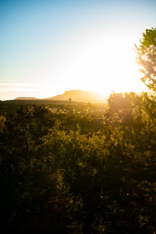 Nature Phone Wallpaper