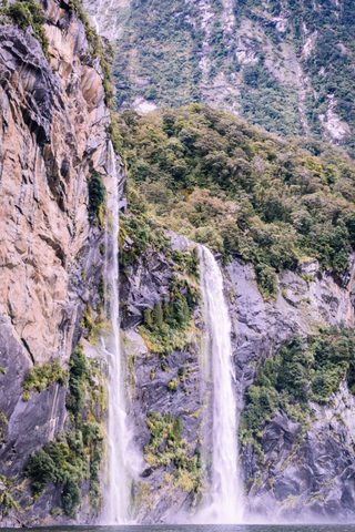 Nature Phone Wallpaper