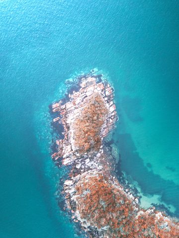 Nature Phone Wallpaper