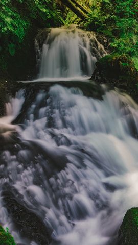 Nature Phone Wallpaper