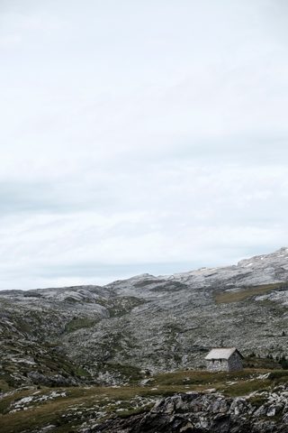 Nature Phone Wallpaper
