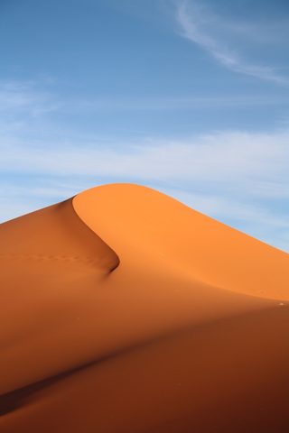 Nature Phone Wallpaper