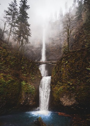 Nature Phone Wallpaper